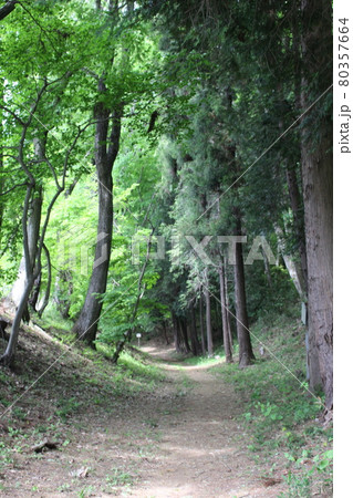 飛山城跡 飛山城跡 80357664