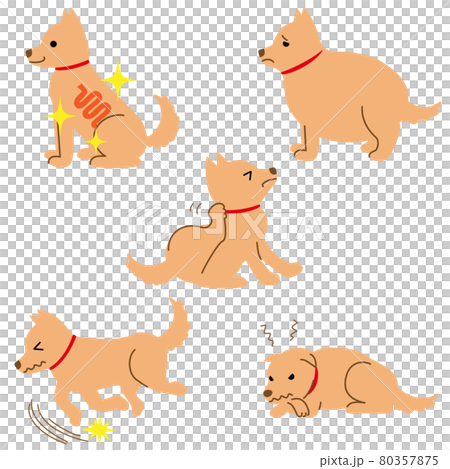 Dog health illness symptom illustration material set 80357875