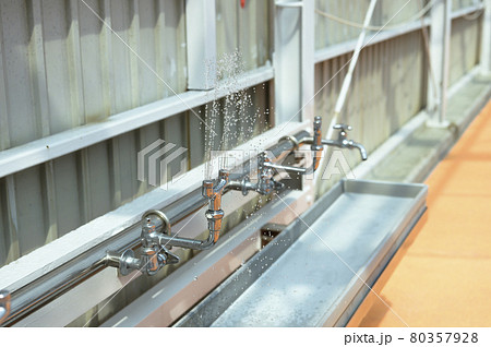 学校のプール（洗眼水栓） 80357928