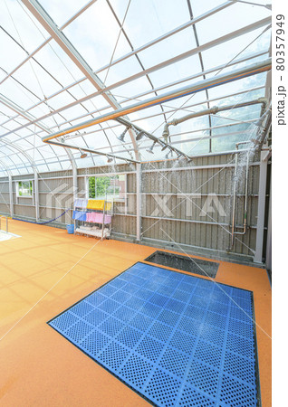 学校のプール(温水シャワー) 学校のプール(温水シャワー) 80357949