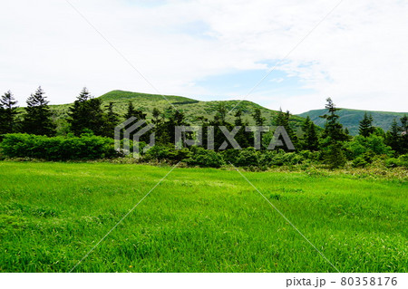 秋田 乳頭山 孫六コースからの乳頭山 遠景 秋田 乳頭山 孫六コースからの乳頭山 遠景 80358176