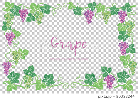 Background frame material for grape illustration Background frame material for grape illustration 80358244