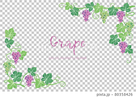 葡萄插圖的背景框架材料 葡萄插圖的背景框架材料 80358426