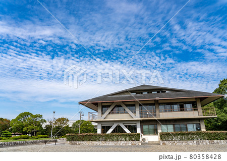 愛知県弥富市　弥富野鳥園の保護地からの眺め 80358428
