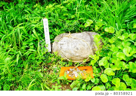 森吉山　無事にカエル石 80358921