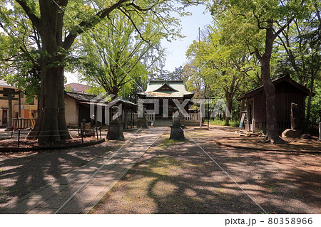 【川崎市】小杉神社 80358966