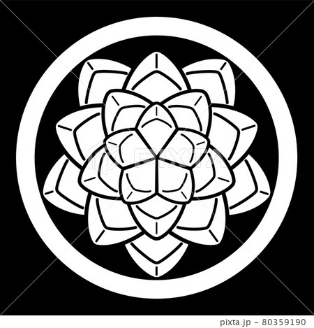 家紋風アイコン　エケベリア　多肉植物　日本の紋章 80359190