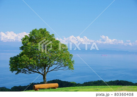 兵庫県淡路島 あわじ花さじき(大阪南部方面を望む) 兵庫県淡路島 あわじ花さじき(大阪南部方面を望む) 80360408