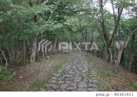 日本の山の風景 日本の山の風景 80361911