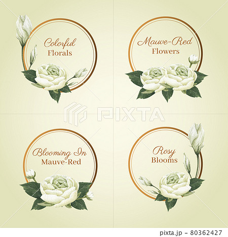Logo design with muave red floral concept,waterolor style Logo design with muave red floral concept,waterolor style 80362427