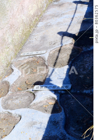 備中高松城【続日本100名城】 80362575