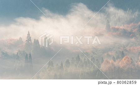 背景素材　雲海の森に朝日が差し込む風景 80362859