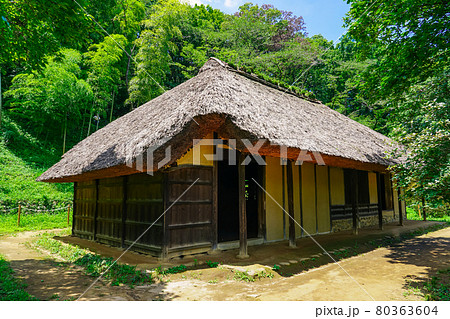 旧永井家住宅、薬師池公園の古民家と梅林(東京都町田市) 旧永井家住宅、薬師池公園の古民家と梅林(東京都町田市) 80363604