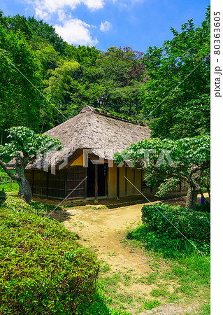 旧永井家住宅、薬師池公園の古民家と梅林(東京都町田市) 旧永井家住宅、薬師池公園の古民家と梅林(東京都町田市) 80363605