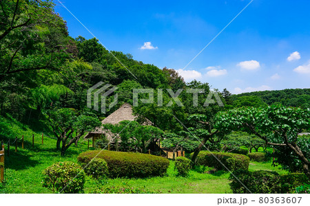 旧永井家住宅、薬師池公園の古民家と梅林（東京都町田市） 80363607