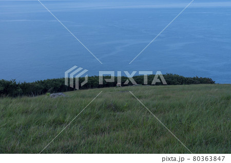風景 島 海 80363847