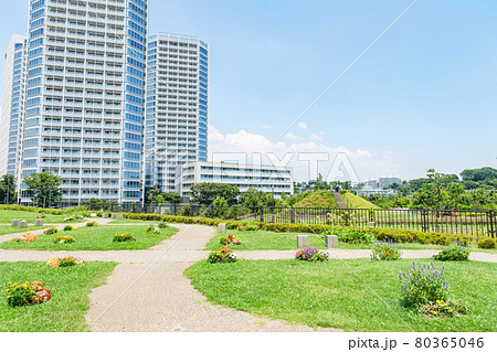 公園の風景 再開発された二子玉川公園とタワーマンション群 東京都世田谷区 公園の風景 再開発された二子玉川公園とタワーマンション群 東京都世田谷区 80365046