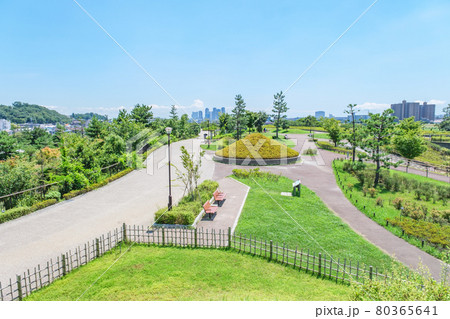 公園の風景　新緑が鮮やかな二子玉川公園　東京都世田谷区 80365641