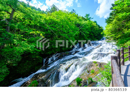 竜頭ノ滝 80366539