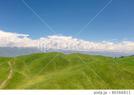 Nalati grassland with the blue sky. Nalati grassland with the blue sky. 80366811