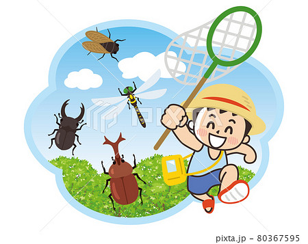 夏休み　昆虫採集をする男の子 80367595