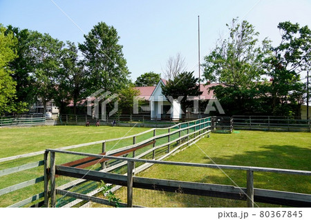 当別町立蕨岱小学校(廃校) 当別町立蕨岱小学校(廃校) 80367845