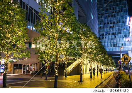 東京都 秋葉原のクリスマスイルミネーション 東京都 秋葉原のクリスマスイルミネーション 80368489