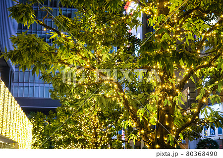 東京都 秋葉原のクリスマスイルミネーション 東京都 秋葉原のクリスマスイルミネーション 80368490