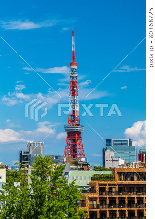 日本の東京都市景観 六本木から東京タワーなどを望む 日本の東京都市景観 六本木から東京タワーなどを望む 80368725