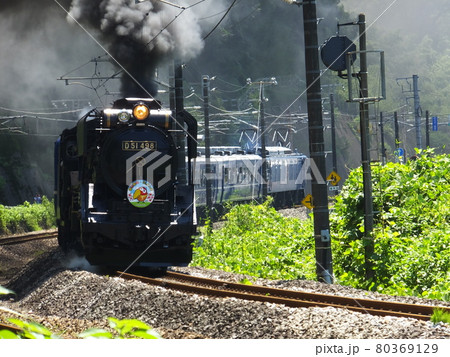 SL蒸気機関車D51　ぐんま 80369129