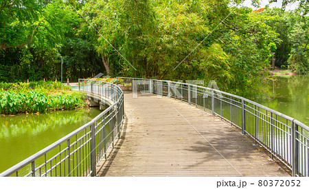 Green bicycle path in the park Green bicycle path in the park 80372052