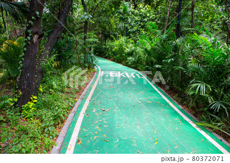 Green bicycle path in the park 80372071
