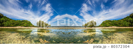 An ocean underwater reef with sun light through water surface. seagrass field An ocean underwater reef with sun light through water surface. seagrass field 80372304