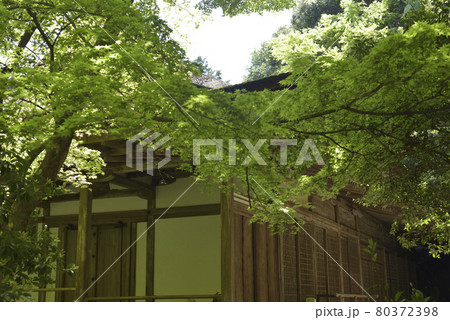 清龍宮拝殿　上醍醐 80372398