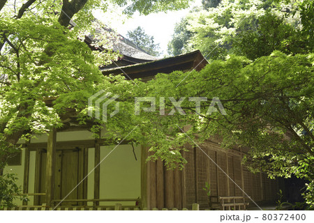 清龍宮拝殿　上醍醐 80372400