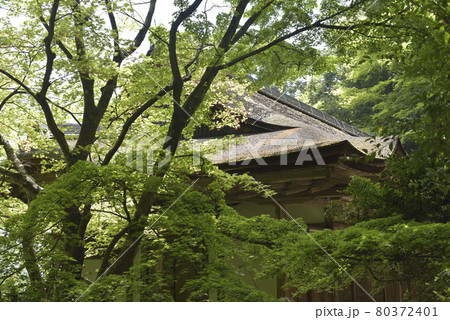 清龍宮拝殿　上醍醐 80372401