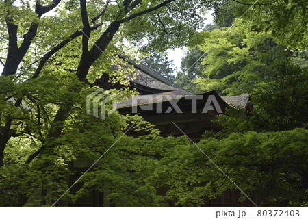 清龍宮拝殿　上醍醐 80372403