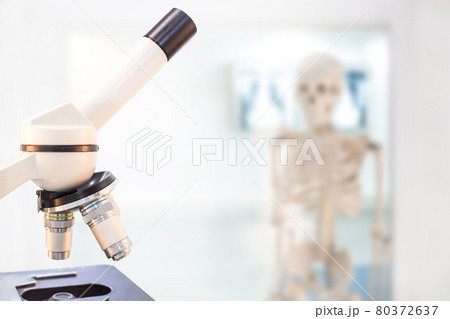 In a science lab with a human skeleton. In a science lab with a human skeleton. 80372637