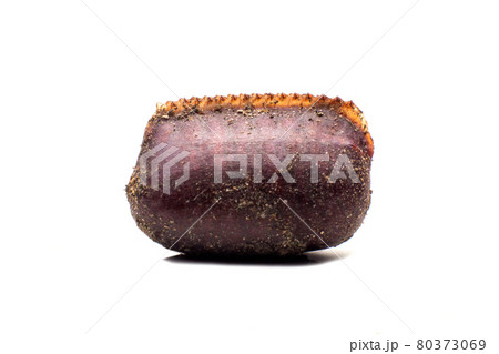 cockroach eggs cockroach eggs 80373069