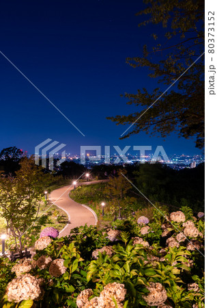 卯辰山公園 眺望の丘/石川県金沢市 2021年7月撮影 卯辰山公園 眺望の丘/石川県金沢市 2021年7月撮影 80373152