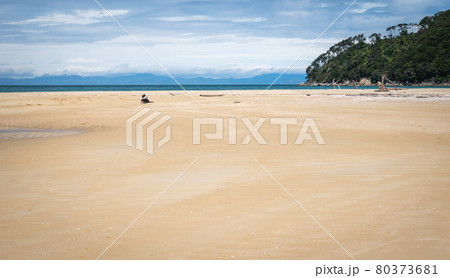 Person relaxing on remote beach with golden sands. Shot in Abel Tasman National Park, New Zealand Person relaxing on remote beach with golden sands. Shot in Abel Tasman National Park, New Zealand 80373681