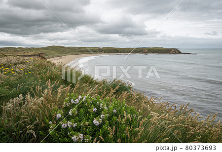 View on ocean shore and remote beach during overcast day. Shot made in Southland Region of New Zealand View on ocean shore and remote beach during overcast day. Shot made in Southland Region of New Zealand 80373693
