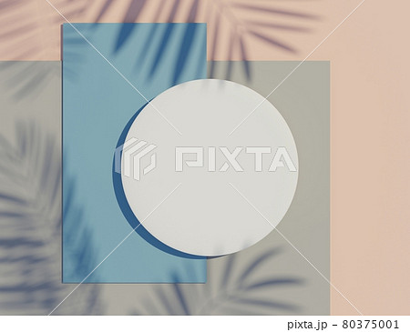 3d render top view of white blank cylinder frame for mock up and display products with shadows of palm leaves and earth tone background. 3d render top view of white blank cylinder frame for mock up and display products with shadows of palm leaves and earth tone background. 80375001