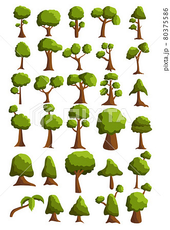 Seth trees from different climatic zones on a white background - Vector 80375586