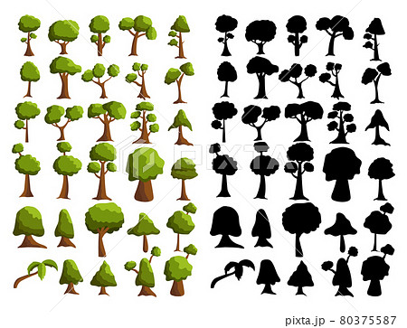 Seth black silhouettes and realistic trees from different climatic zones on a white background - Vector 80375587