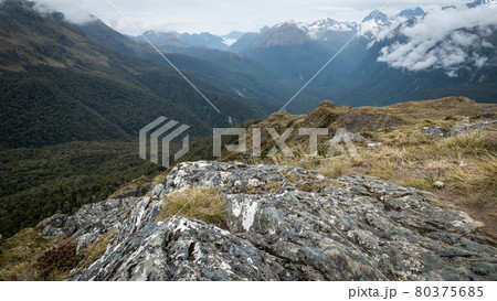 View on alpine valley with mountains in backdrop filled with dense woods. Shot on Routeburn Track, New Zealand 80375685