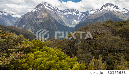Views on mountain peaks with trees in foreground. Shot on Routeburn Track, New Zealand 80375688