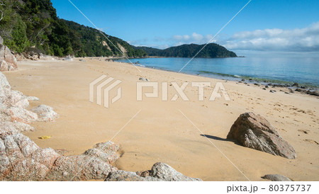 Remote exotic beach with golden sands, shot in Abel Tasman National Park, New Zealand 80375737
