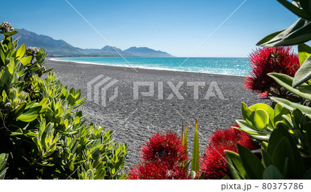 Pebble beach with azure water and blue sky with mountains in backdrop, shot in Kaikoura, New Zealand 80375786