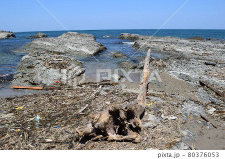 海岸に漂着した流木の写真素材 [80376053] - PIXTA